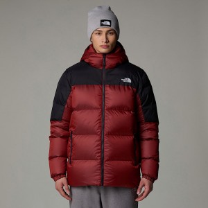 The North Face Diablo Down 2.0 Hooded Jackor Herr Röda | NF0A21J8C