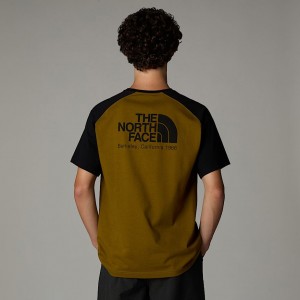 The North Face Heritage T-shirt Herr Gröna | NF0A16I0J