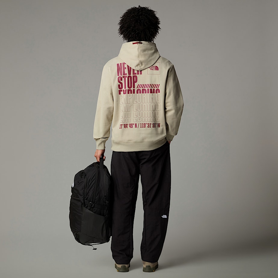 The North Face Coordinates Hoodie Herr Grå | NF0A61D4N