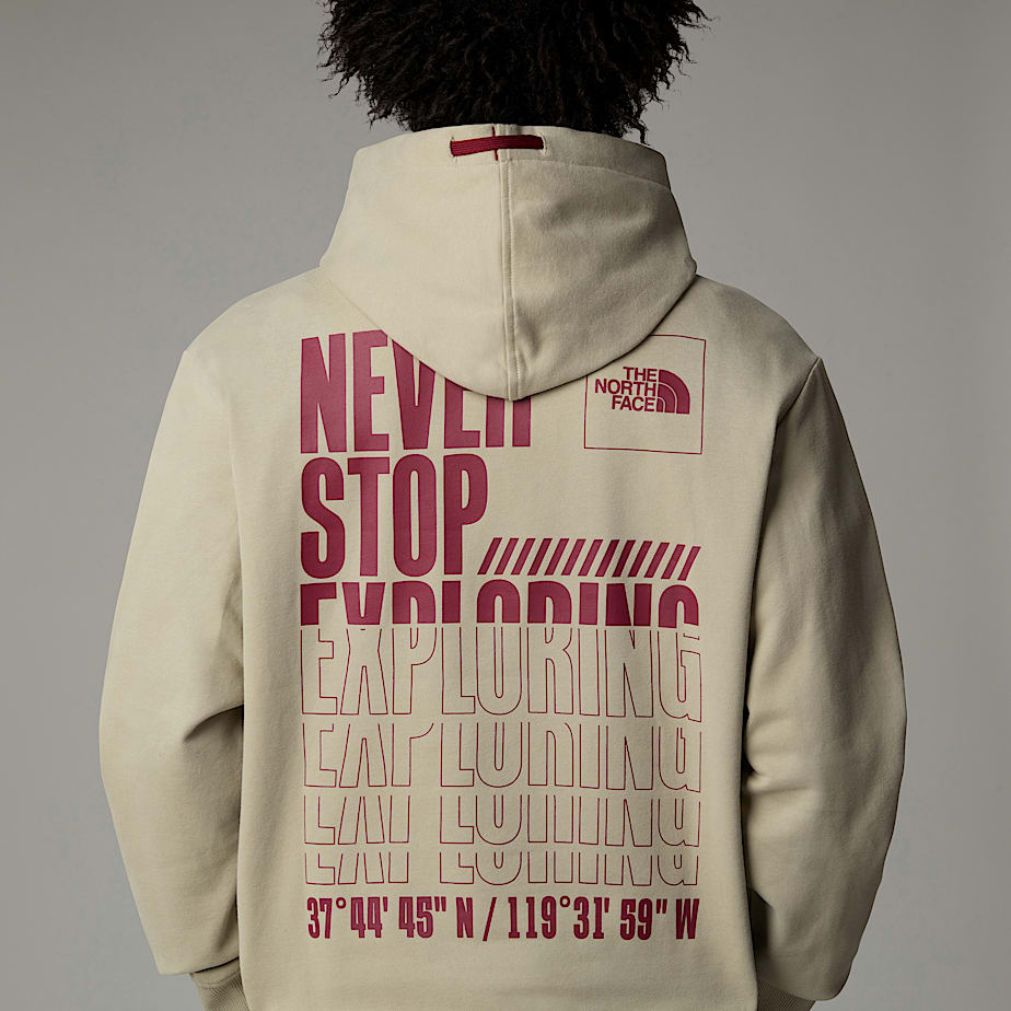 The North Face Coordinates Hoodie Herr Grå | NF0A61D4N