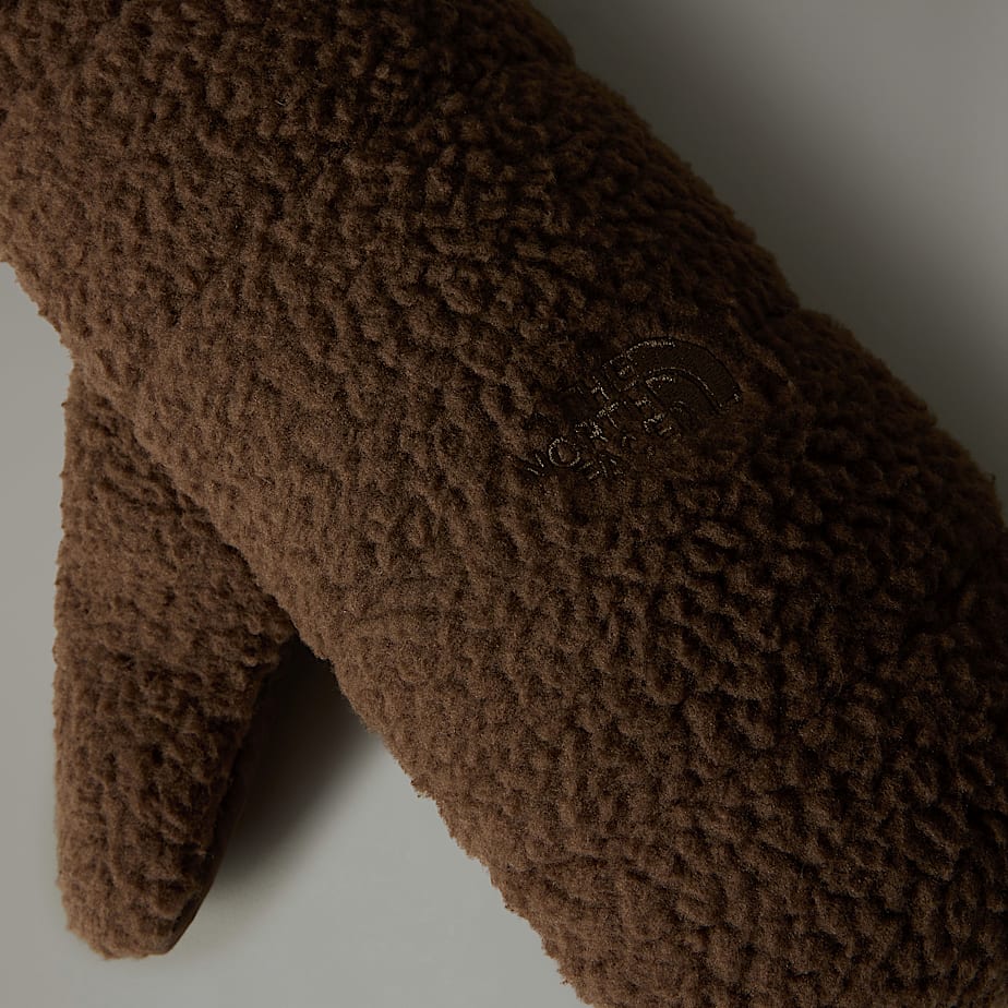 The North Face Cragmont Fleece Vantar Herr Bruna | NF0A43U4L