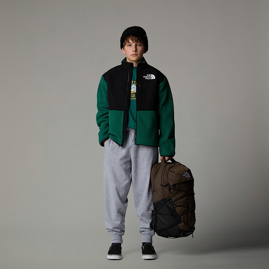 The North Face Denali Jackor Barn Gröna | NF0A65L4U