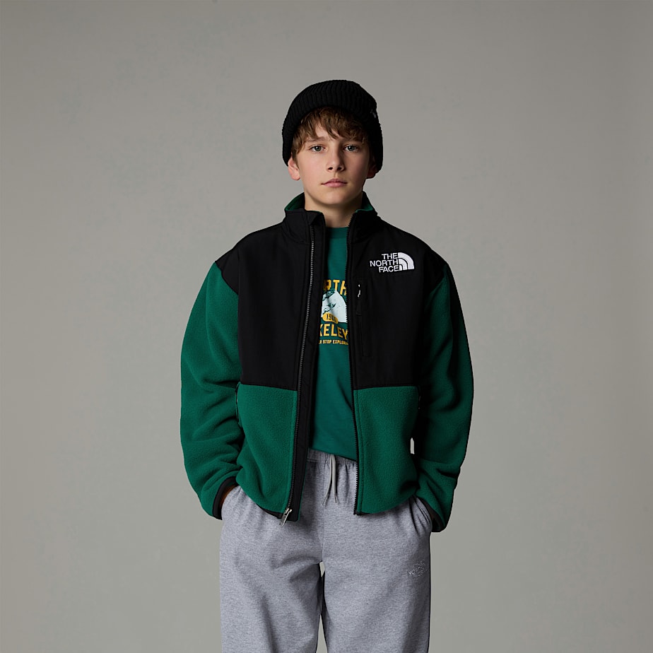 The North Face Denali Jackor Barn Gröna | NF0A65L4U