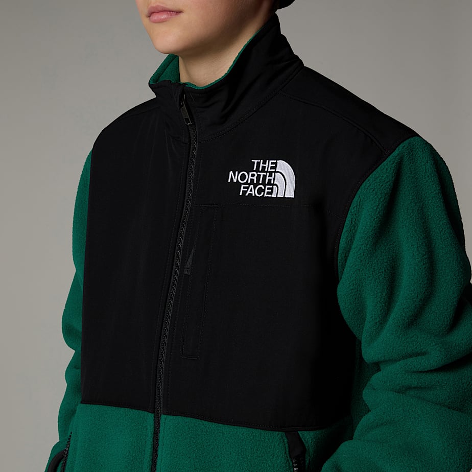 The North Face Denali Jackor Barn Gröna | NF0A65L4U