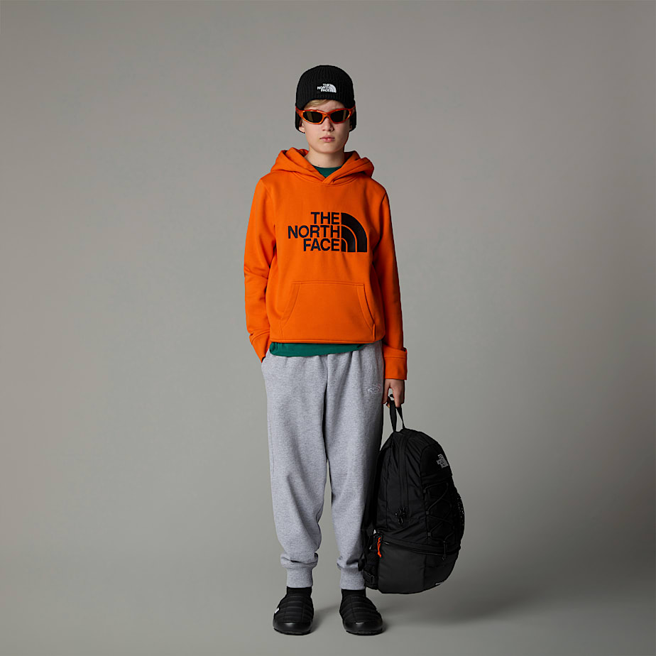 The North Face Drew Peak Hoodie Barn Orange | NF0A85J5F