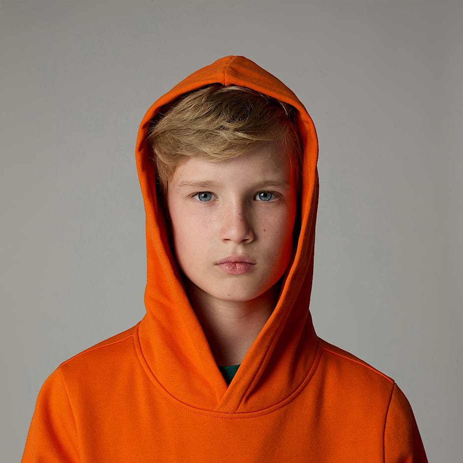 The North Face Drew Peak Hoodie Barn Orange | NF0A85J5F