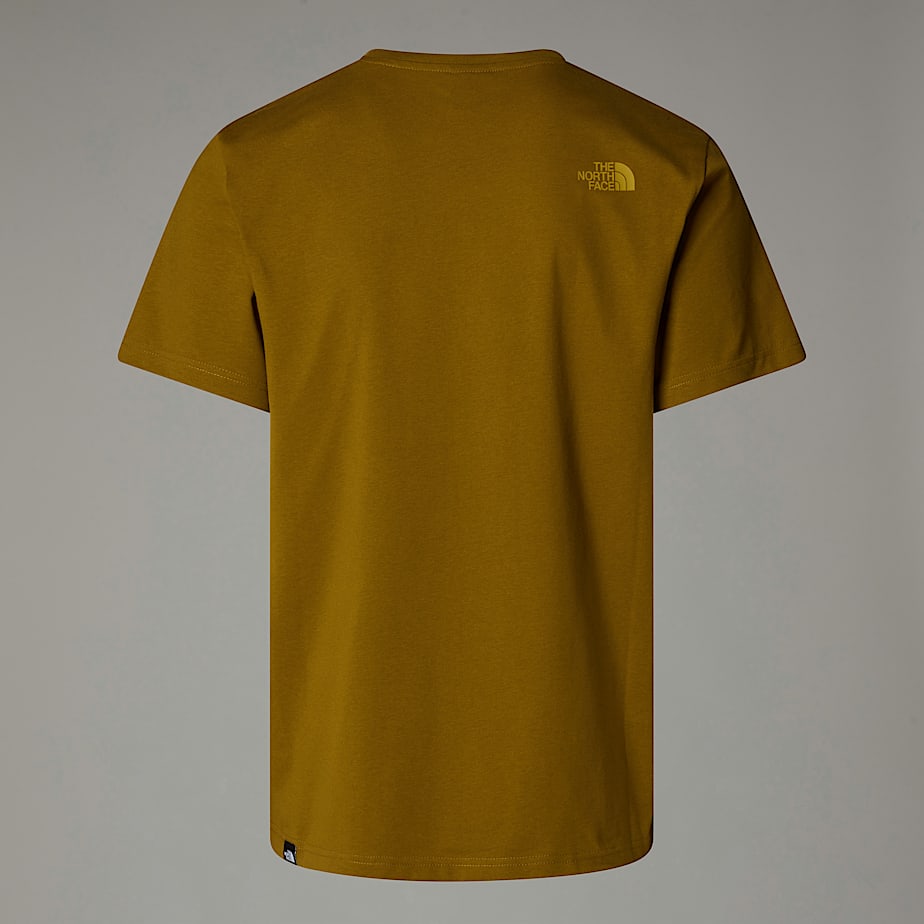The North Face Easy T-shirt Herr Gröna | NF0A37J1K