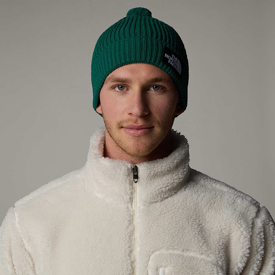 The North Face Logo Box Pom Mössa Herr Gröna | NF0A61F3H