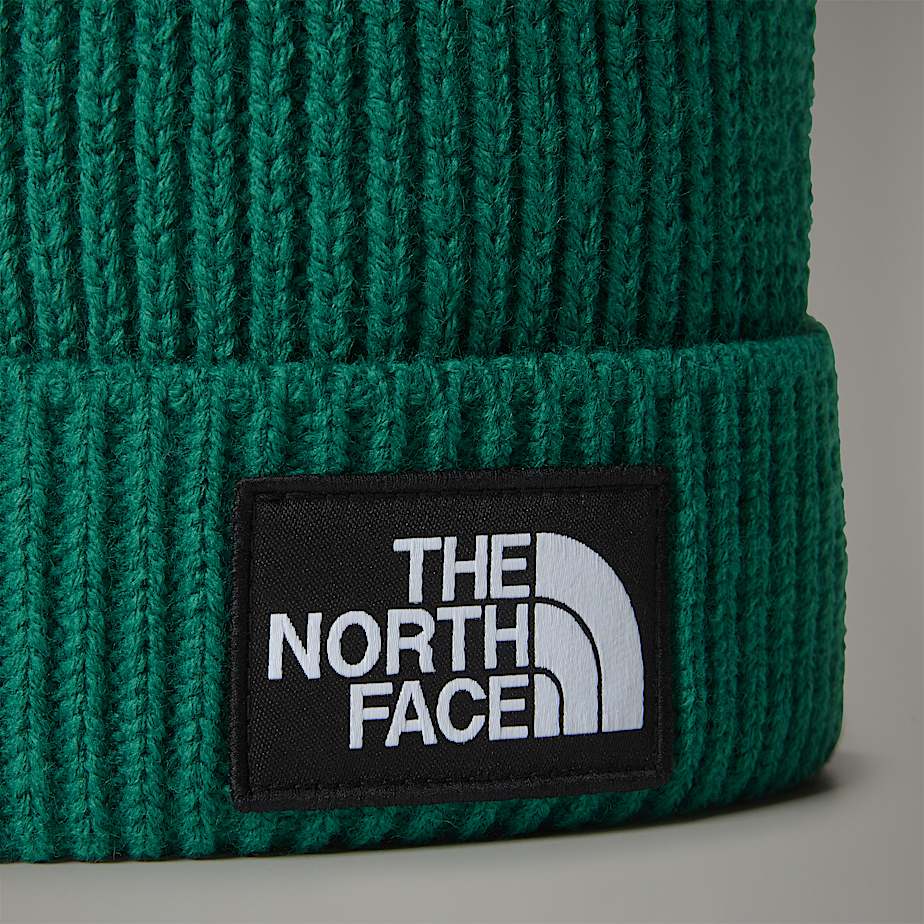 The North Face Logo Box Pom Mössa Herr Gröna | NF0A61F3H