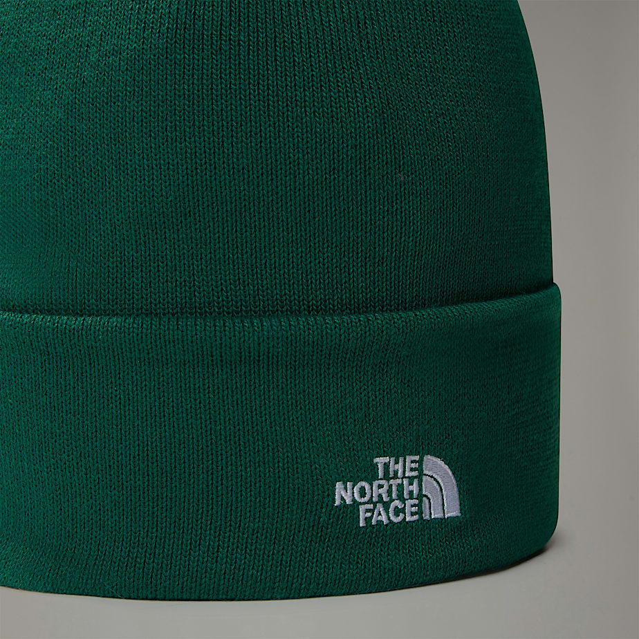 The North Face Norm Mössa Herr Gröna | NF0A54E6E