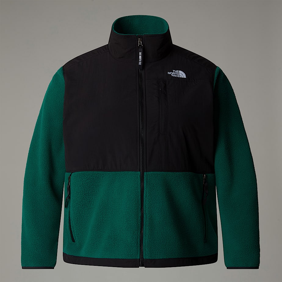 The North Face Plus Size Retro Denali Jackor Dam Gröna | NF0A93P5J
