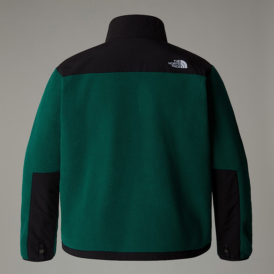 The North Face Plus Size Retro Denali Jackor Dam Gröna | NF0A93P5J